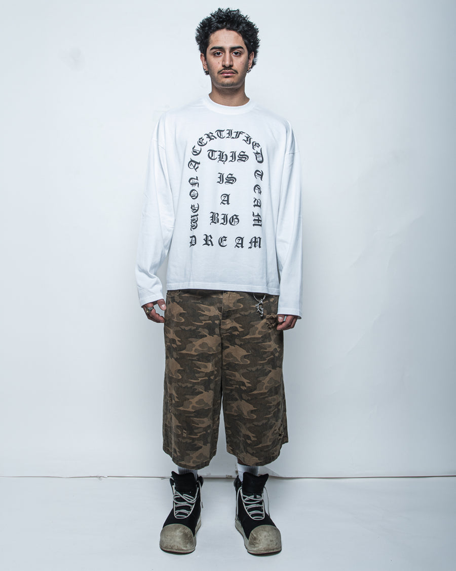 BIG DREAM LS