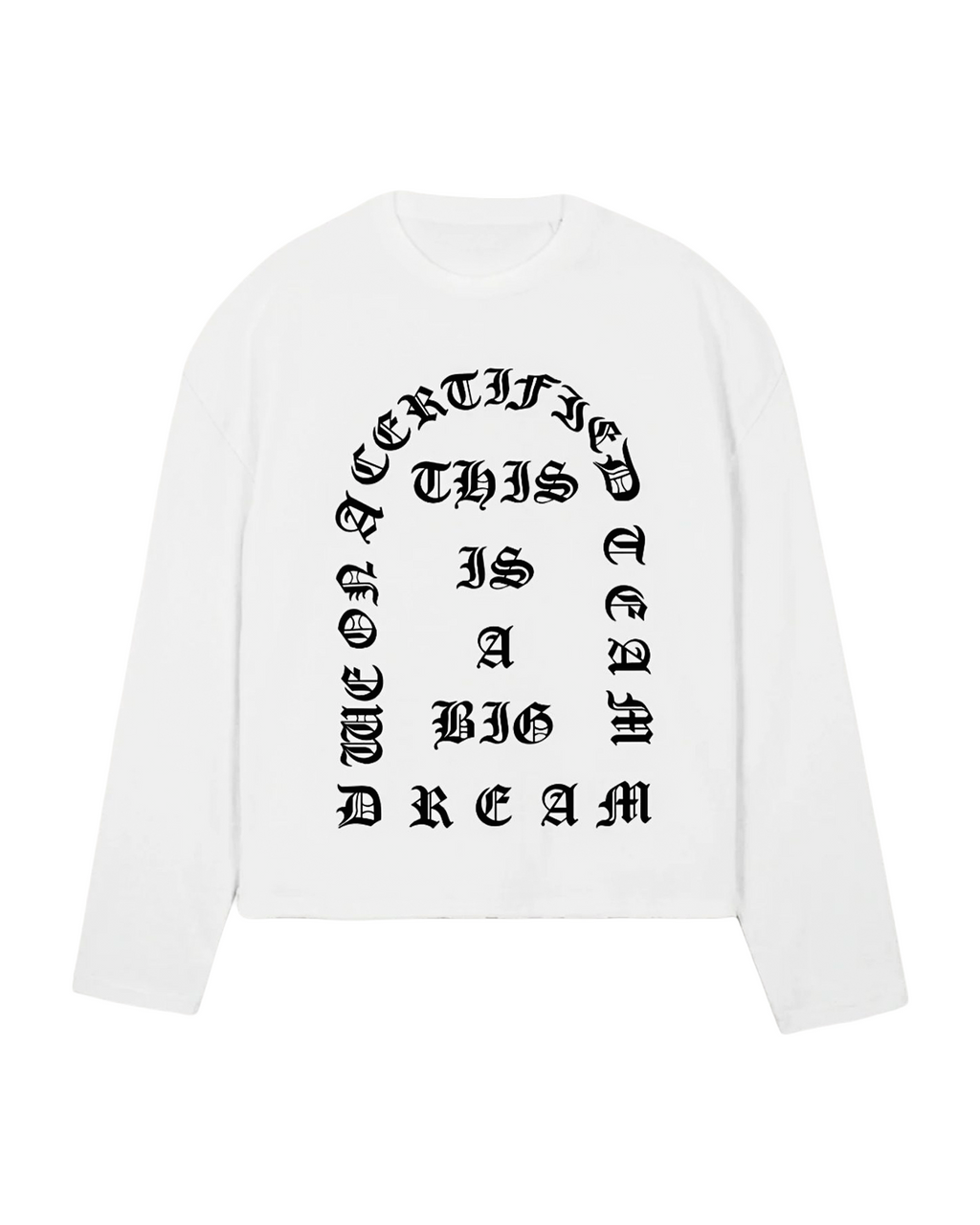 BIG DREAM LS