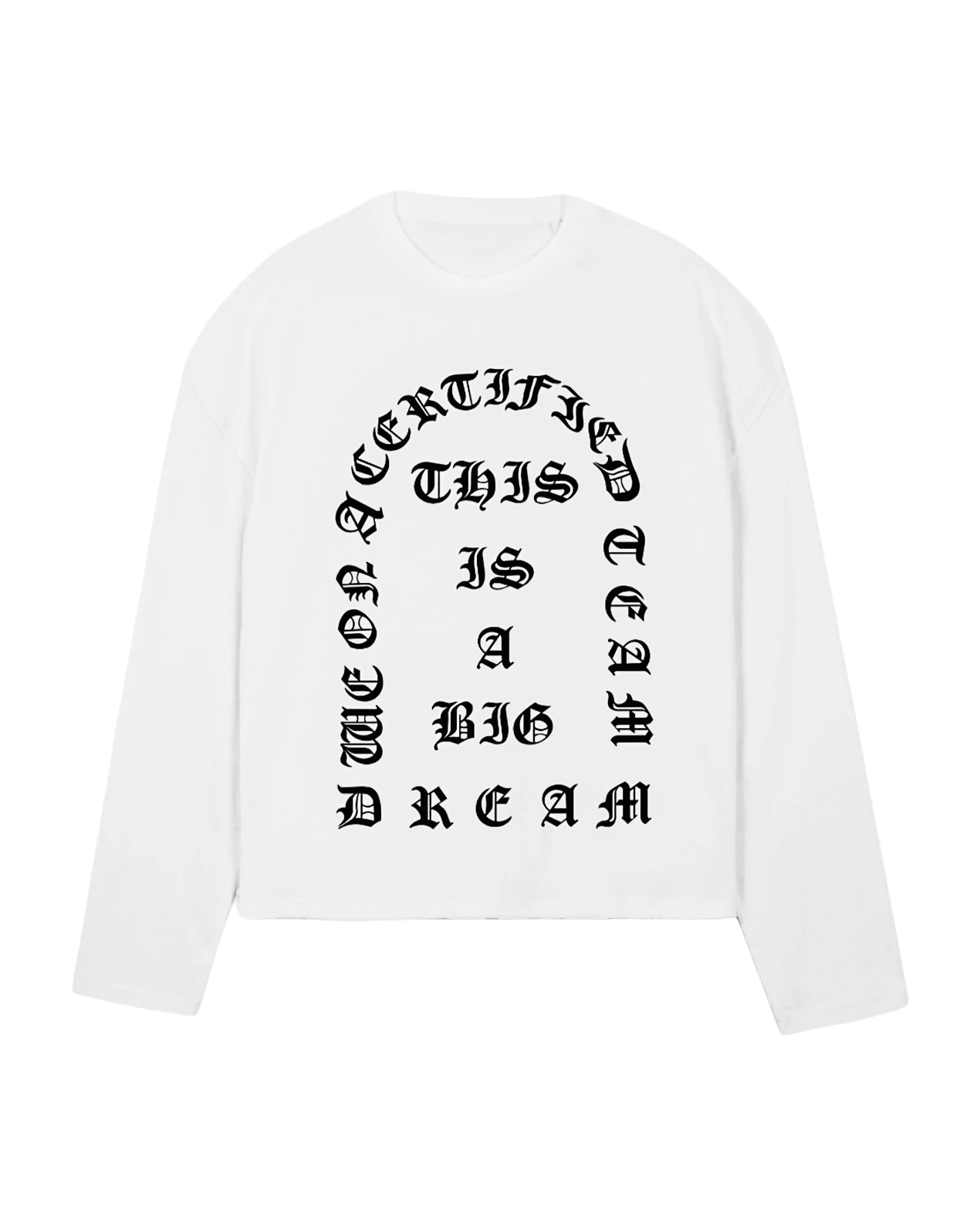 BIG DREAM LS